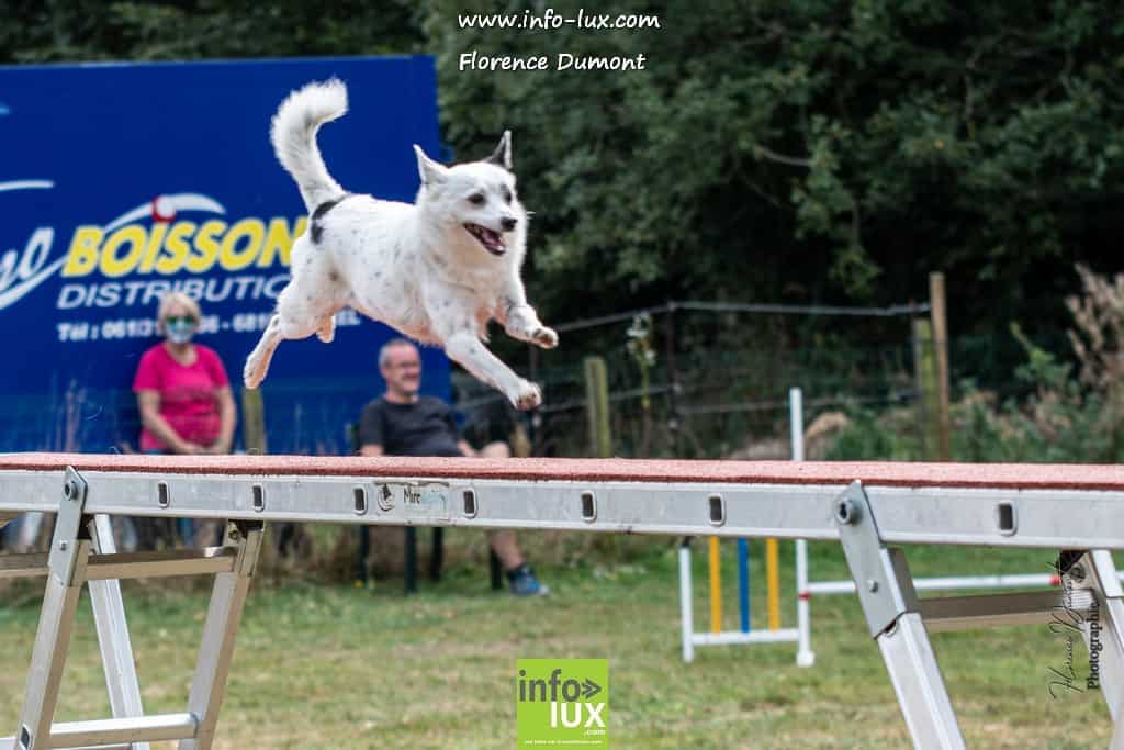 Concours Agility au club canin de Florenville