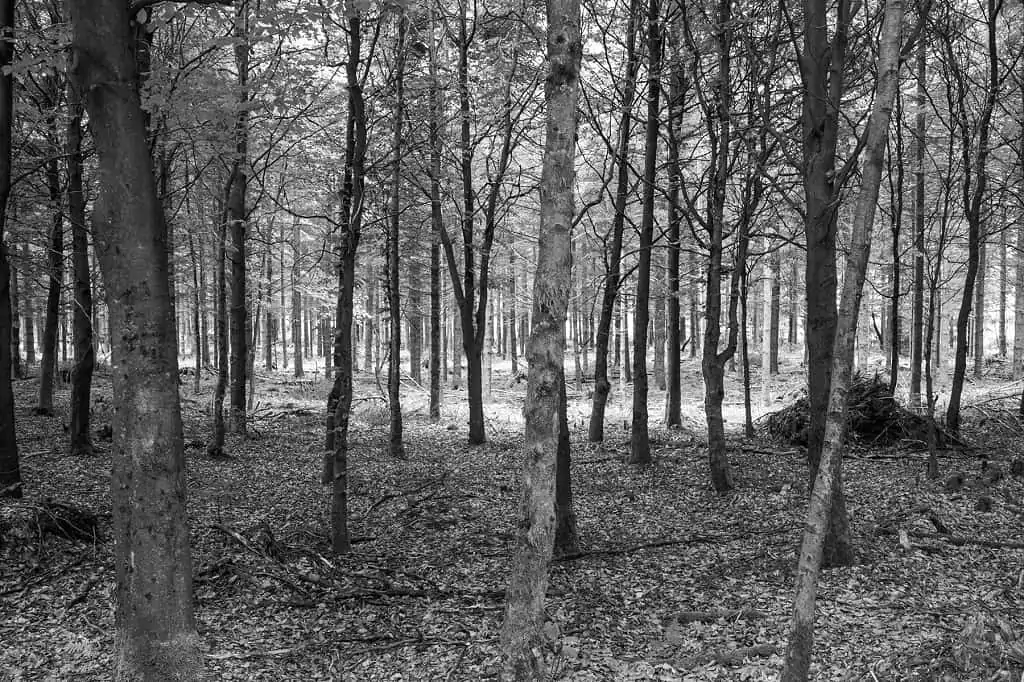 Exposition temporaire au Syndicat d’Initiative de Marbehan