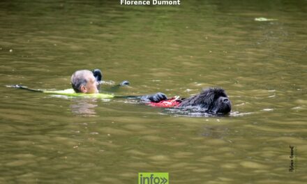 Sauvetage aquatique à Chiny