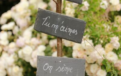 Bouillon > Initiative > Bouillon en Fleurs