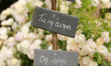 Bouillon > Initiative > Bouillon en Fleurs