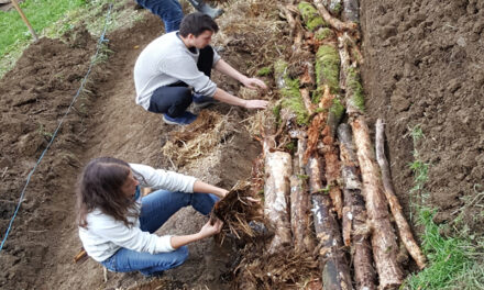 Premiers pas en permaculture : Un atelier de deux jours à HAbay-Anlier