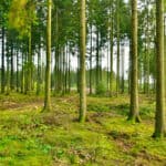 balade contée à Lahage