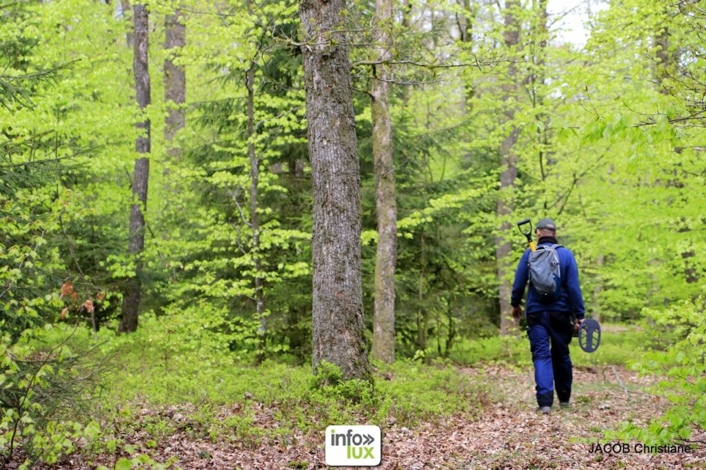 Déforestation la Belgique et l'Europe !