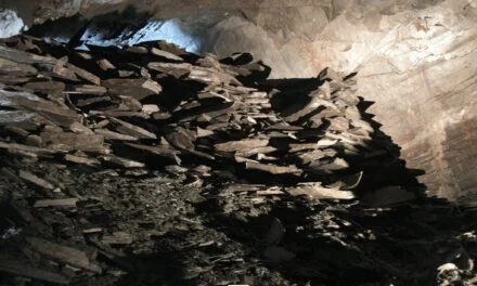 Warmifontaine > Journées du Patrimoine