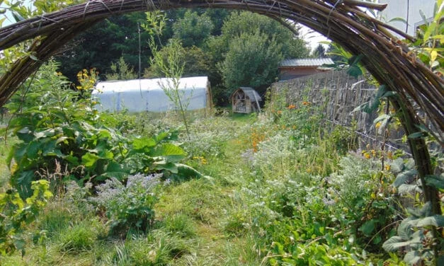 Formation  en permaculture