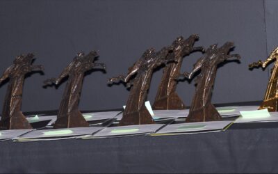 FIFF NAMUR : LE BAYARD D’OR PART POUR LA SUISSE