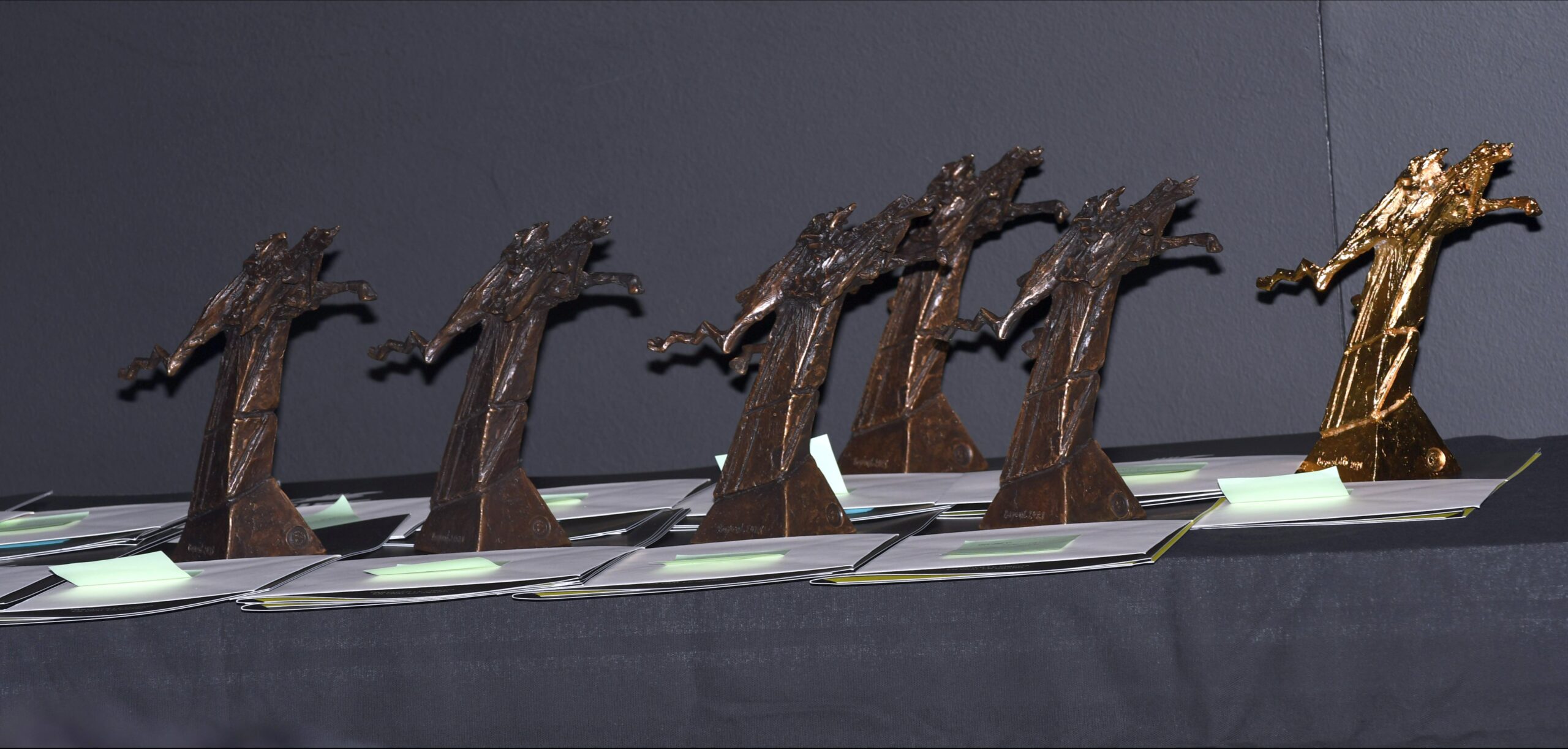 NAMUR > FESTIVAL > FRANCOPHONE  >Films > FIFF