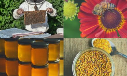 FLORENVILLE – conférence sur le miel