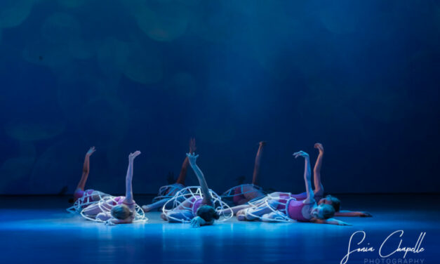 Sonia Chapelle : Photographe de Concerts et graphiste Sur Liège