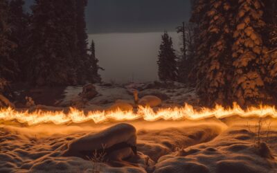 FESTIVAL  de la photographie : Hangar