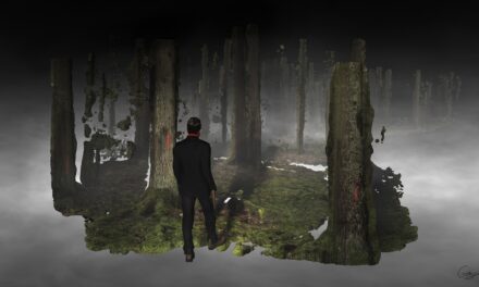 Hangar, Photos Bruxelles Festival