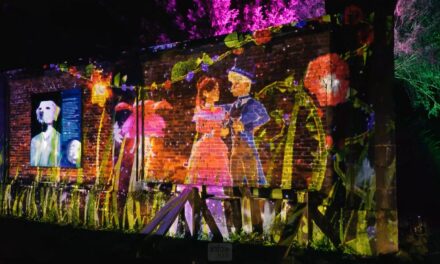 Les Nuits Lumineuses à Enghien