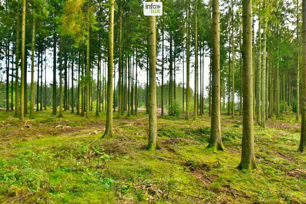 réserves naturelles en Wallonie et surtout en province de Luxembourg 