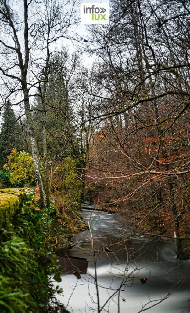 réserves naturelles en Wallonie et surtout en province de Luxembourg 