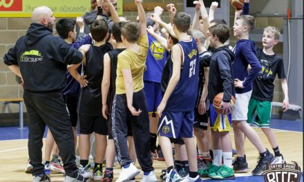 Basket Centre Gaume