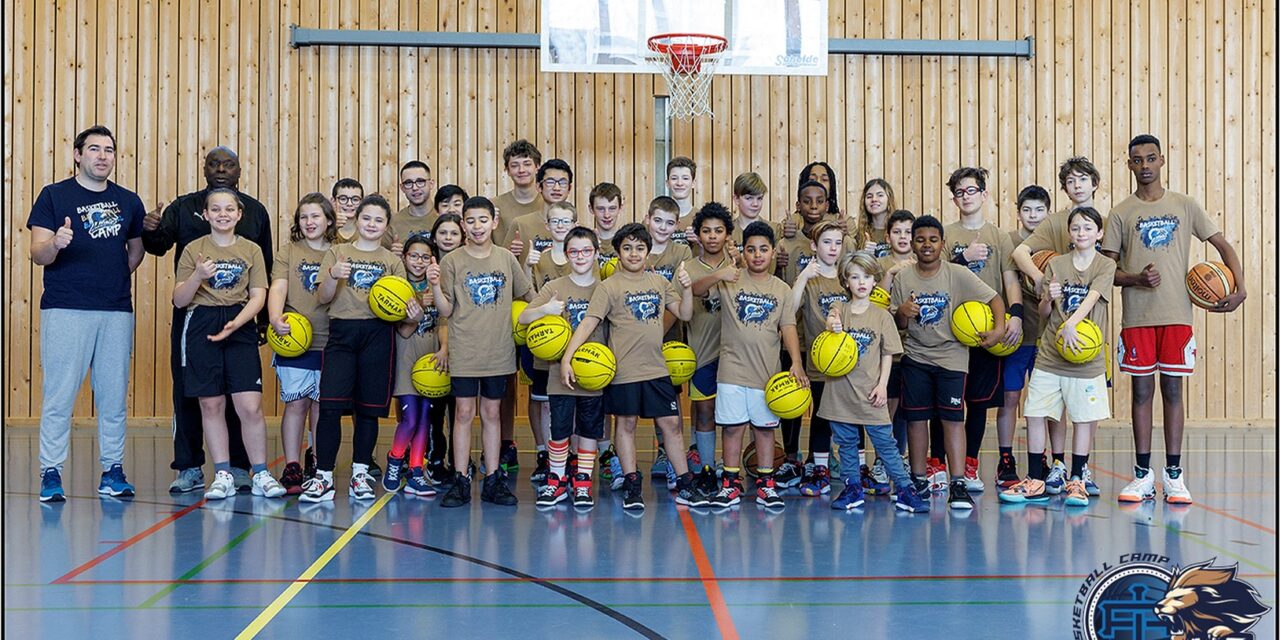 Lions basket camps