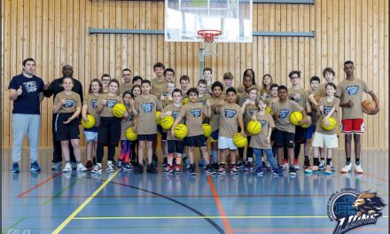 Lions basket camps