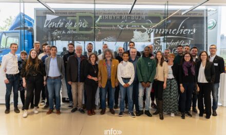 Cave des Sommeliers à Habay