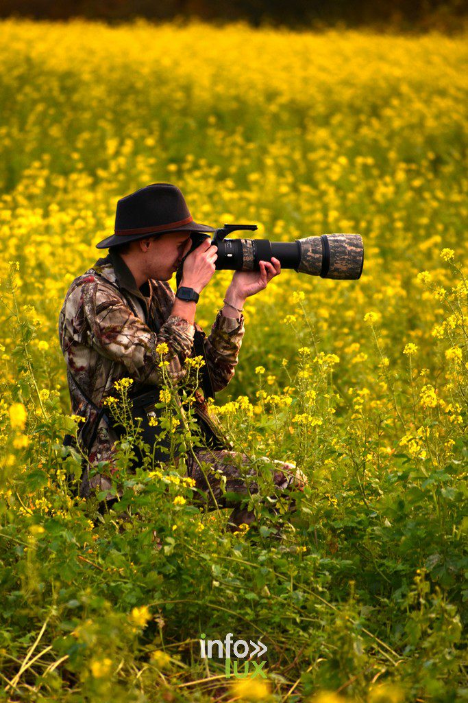 Photographe amateur à Habay