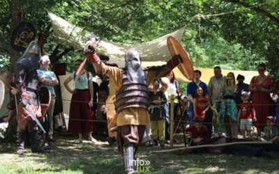 Château féodal de Moha  > Photos