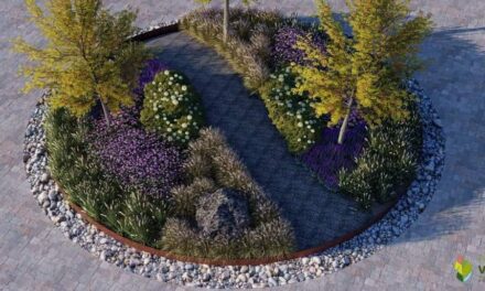 Neufchâteau > Le rond-point de la Cheravoie …