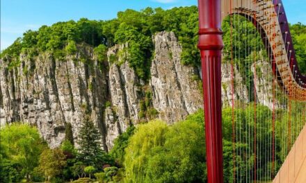 ETE MOSAN > festival de musique classique