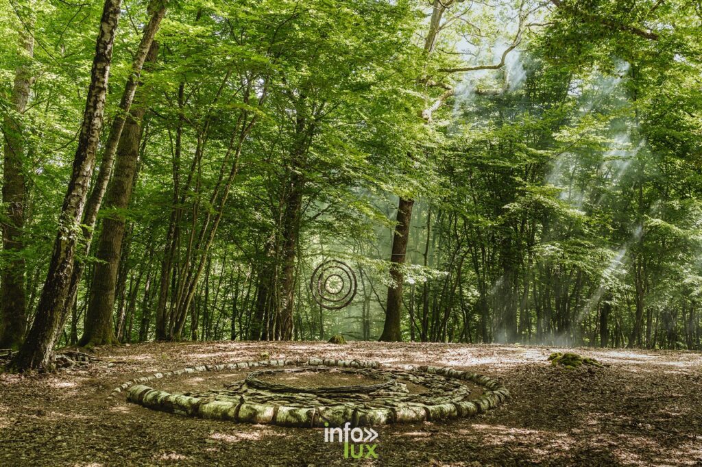 Grottes de Han > La Forêt Secrète