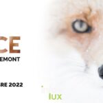 Silly Silence invite Michel d'Oultremont