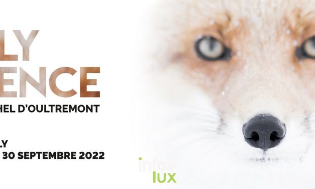 Silly Silence invite Michel d’Oultremont