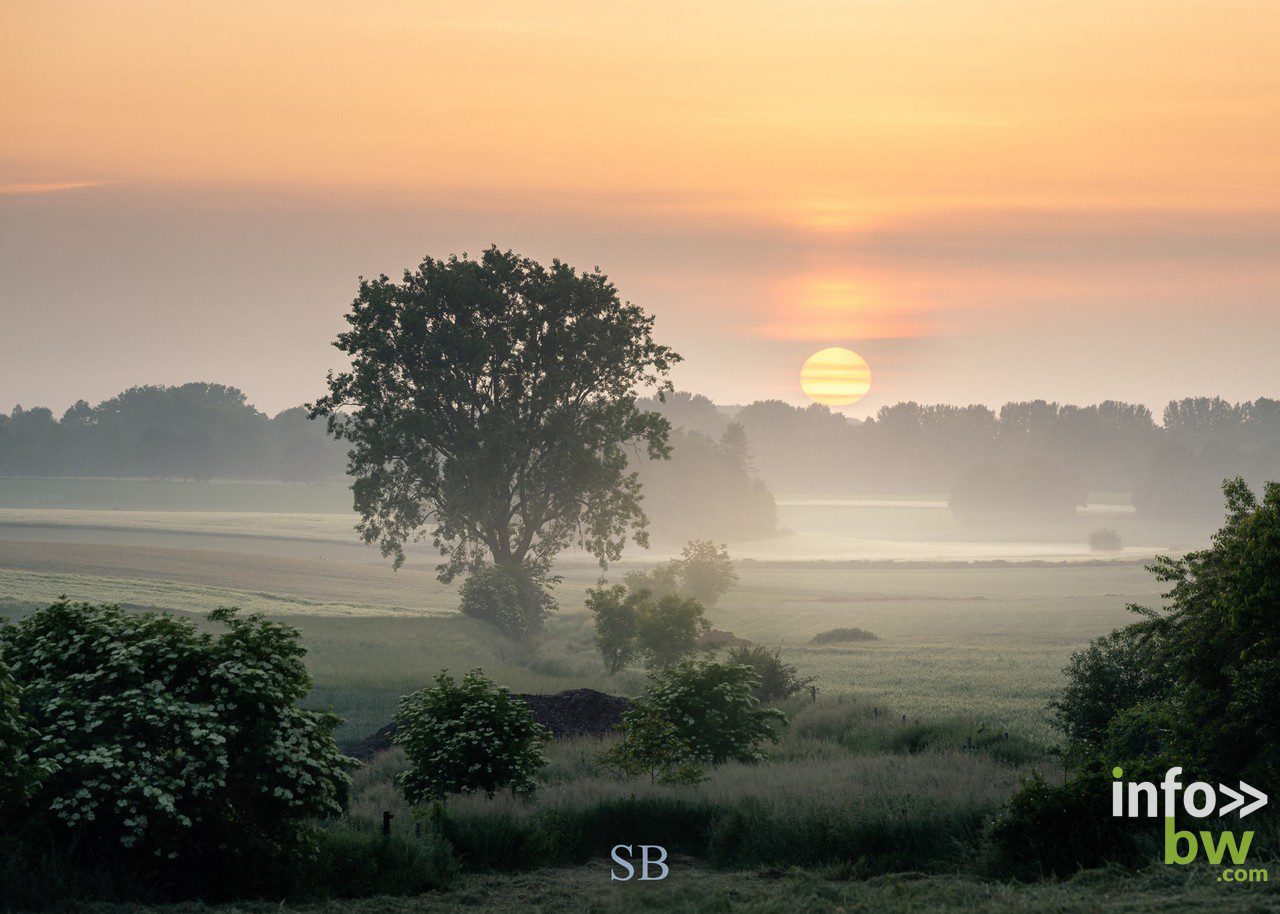 Samuel BOUCHOMS > photographe nature.