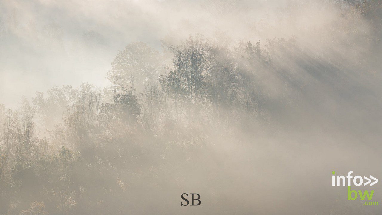 Samuel BOUCHOMS > photographe nature.