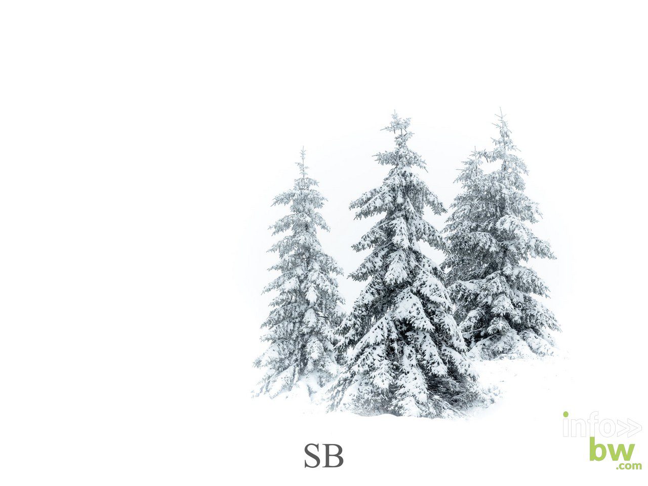 Samuel BOUCHOMS > photographe nature.
