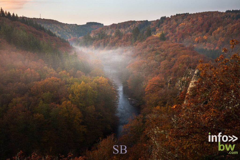 Samuel BOUCHOMS > photographe nature.