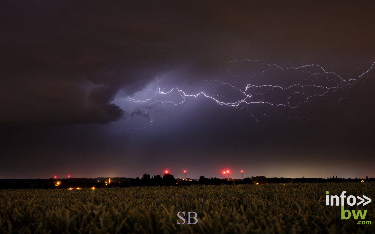 Samuel BOUCHOMS > photographe nature.