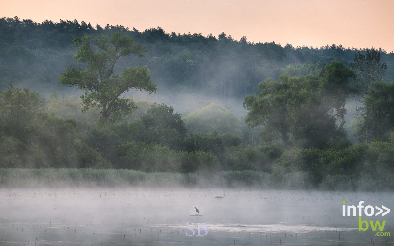 Samuel BOUCHOMS > photographe nature.