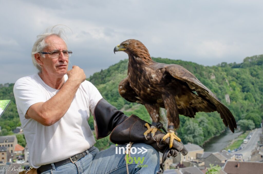 Wakan présente Eagles, son aigle royal de Bolivie