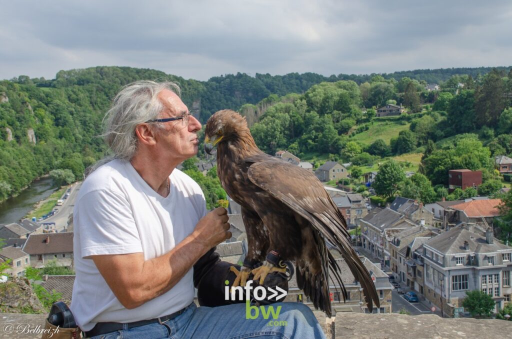 Wakan présente Eagles, son aigle royal de Bolivie