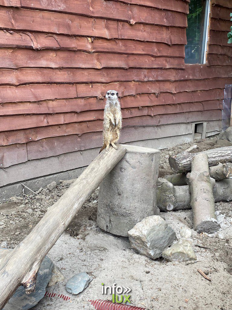 ZooParc > Vaux-sur-Sûre