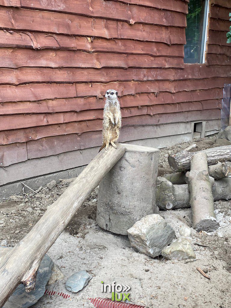  ZooParc > Vaux-sur-Sûre