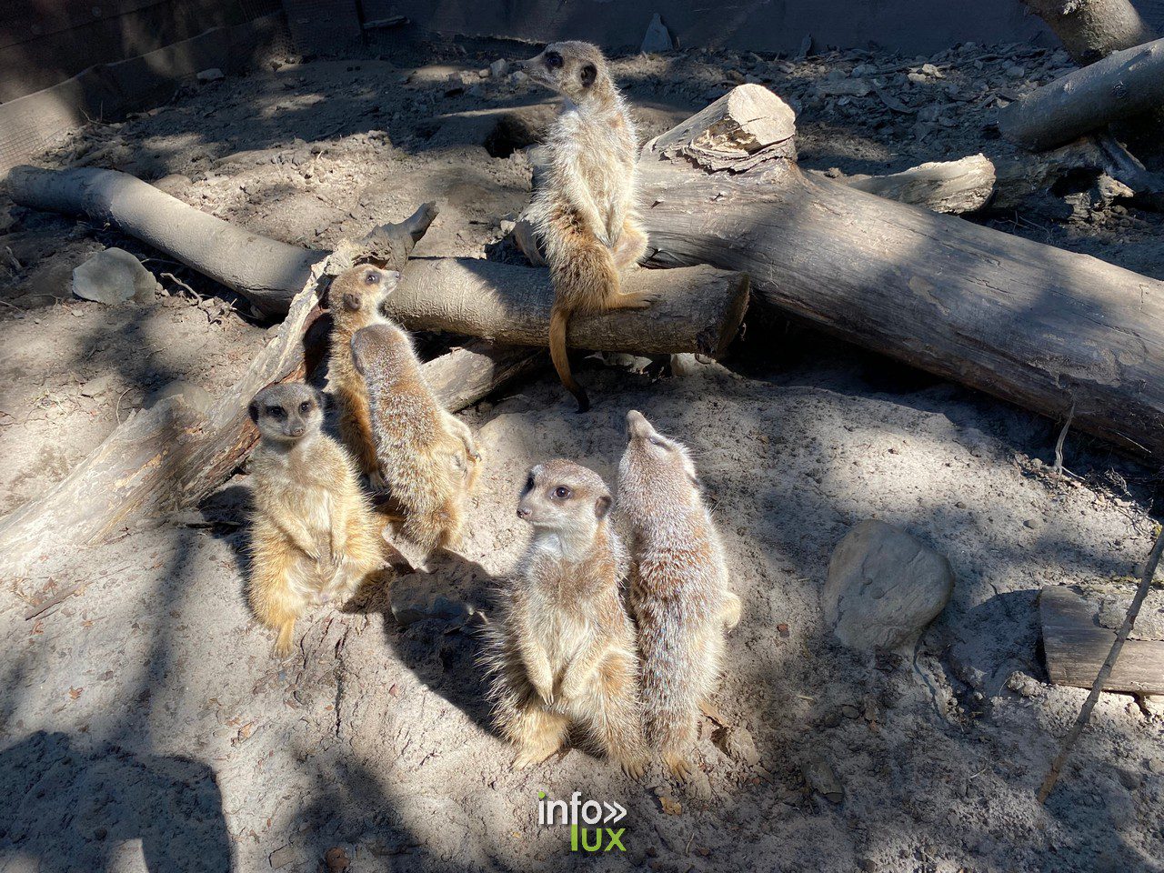 ZooParc > Vaux-sur-Sûre
