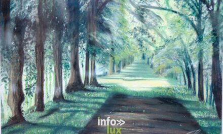 Barvaux > L’univers des artistes > photos