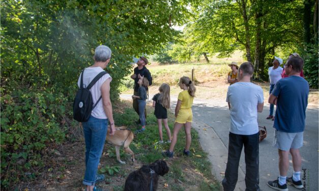 Auflance > Promenade nature 2 > Photos