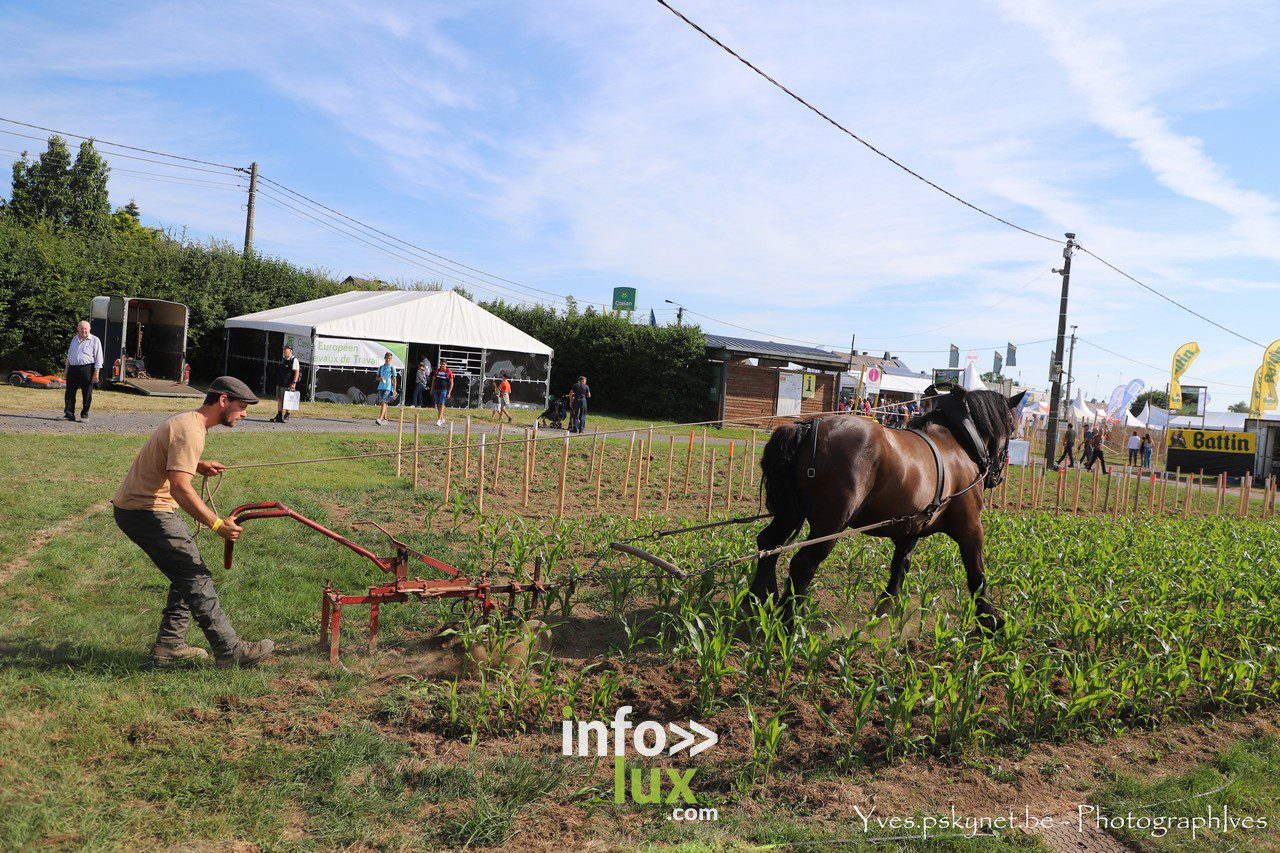 La Foire de Libramont en Photos