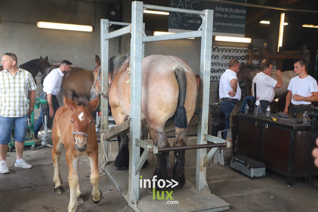 La Foire de Libramont en Photos