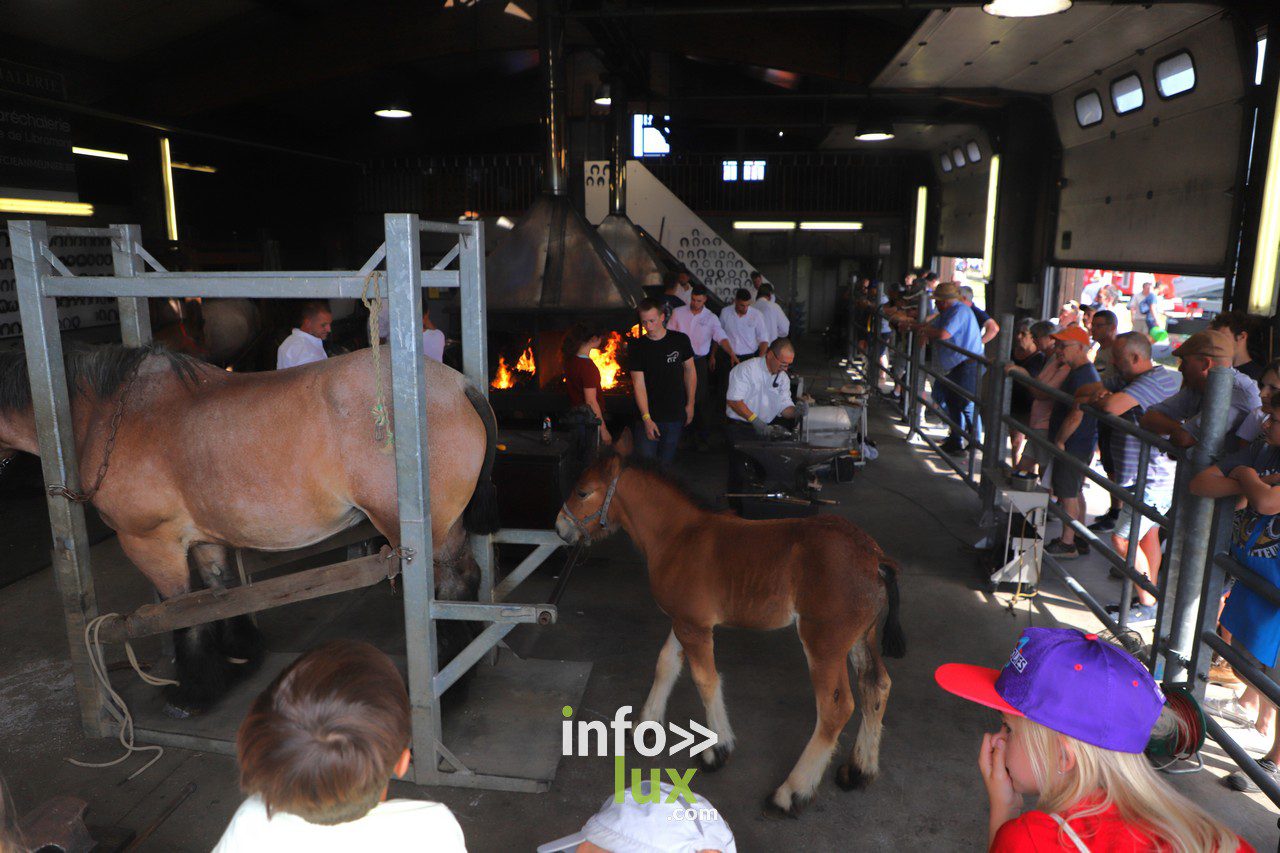 La Foire de Libramont en Photos