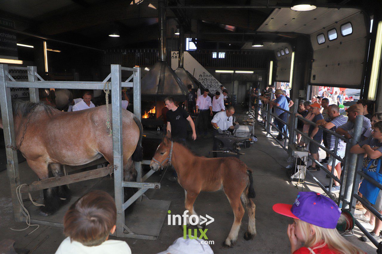 La Foire de Libramont en Photos