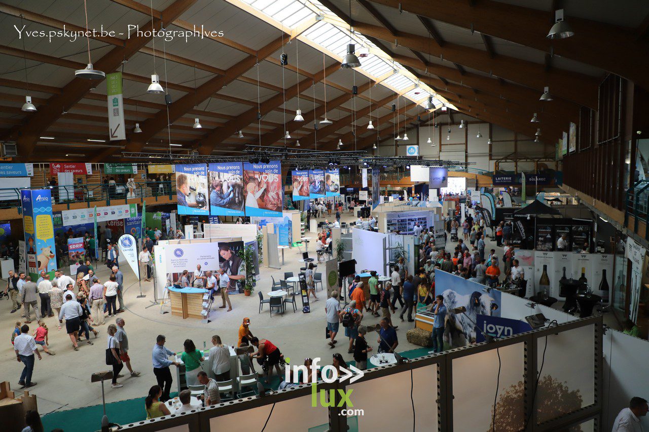 La Foire de Libramont en Photos