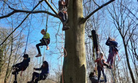 Attert > Fête du Parc Naturel