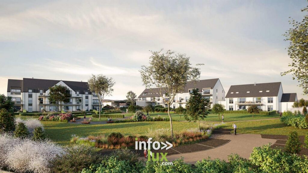 Province de Luxembourg: comment se porte le marché immobilier actuel